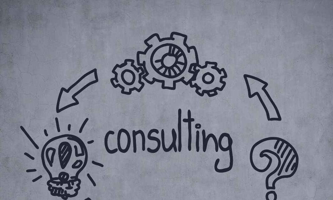 consulenza it