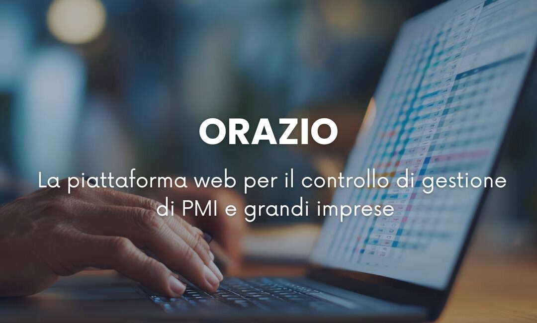software controllo di gestione